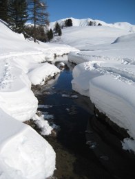 Mountain stream, French Alps